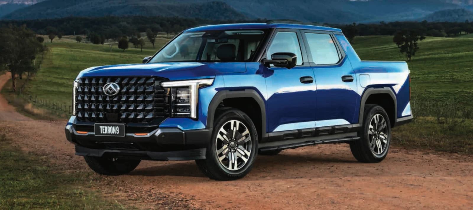 LDV Terron 9