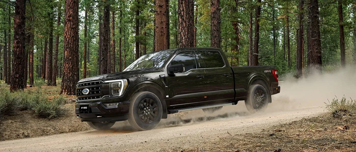 Ford F-150 Lariat Black Edition in black on a forest track