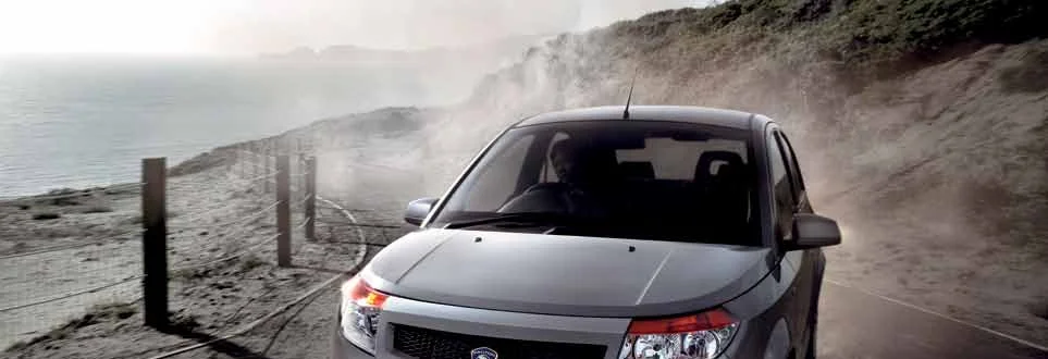Proton Savvy